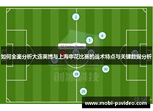 如何全面分析大连英博与上海申花比赛的战术特点与关键数据分析 如何全面分析大连英博与上海申花比赛的战术特点与关键数据分析