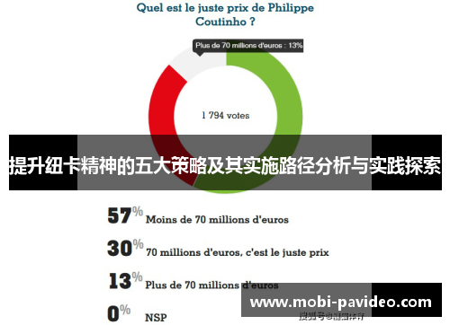 提升纽卡精神的五大策略及其实施路径分析与实践探索 提升纽卡精神的五大策略及其实施路径分析与实践探索
