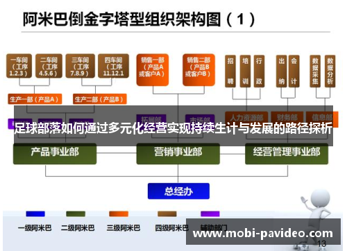 足球部落如何通过多元化经营实现持续生计与发展的路径探析 足球部落如何通过多元化经营实现持续生计与发展的路径探析