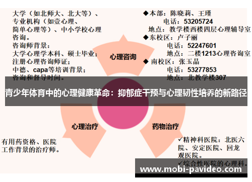 青少年体育中的心理健康革命:抑郁症干预与心理韧性培养的新路径 青少年体育中的心理健康革命:抑郁症干预与心理韧性培养的新路径