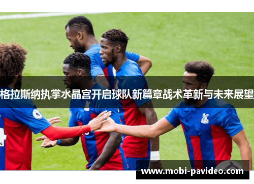 格拉斯纳执掌水晶宫开启球队新篇章战术革新与未来展望