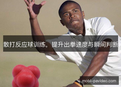 散打反应球训练，提升出拳速度与瞬间判断